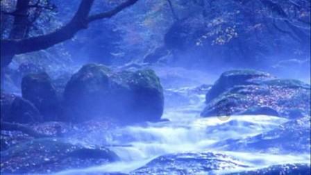 北海:打出知识产权“组合拳” 助推经济高质量发展